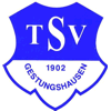 TSV Gestungshausen 1902