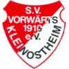 SV Vorwärts 1910 Kleinostheim II