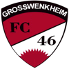 1. FC 46 Großwenkheim