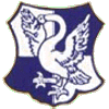 TSV Unterschwaningen 1961 II