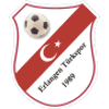 Wappen von Türkischer SV Erlangen 1989