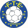 FT Eintracht Schwandorf 2003 II