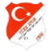 Wappen von Türk Spor 1996 Landau