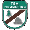 TSV 1950 Nammering