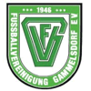 FVgg Gammelsdorf 1946