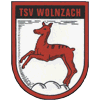 TSV Wolnzach II