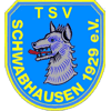 TSV 1929 Schwabhausen III