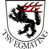 TSV Egmating II