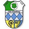 TSV Eiselfing 1966 II