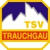 Wappen von TSV Trauchgau