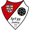 Wappen von SpVgg Daiting