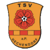 Wappen von TSV Hechendorf