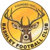 Wappen von Bashley FC