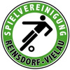 Spvgg Reinsdorf-Vielau II