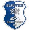 SV Blau Weiß Hermsdorf 09 II