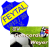 Wappen von SG Feytal/Weyer
