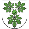 Wappen von FC Hohenseeden