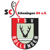 SG Schoningen/Bollensen III
