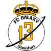 FC Galaxy Steinfurt 2013