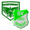SpVgg DJK/SV Brebersdorf/Vasbühl